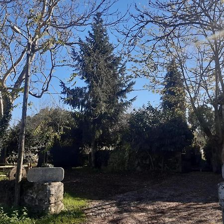 Pazo San Lorenzo- Puebla De 特里弗斯 外观 照片